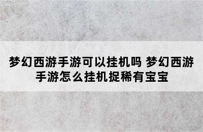 梦幻西游手游可以挂机吗 梦幻西游手游怎么挂机捉稀有宝宝